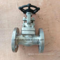 API602 150lb Forged Stainless Steel F316L Flange End Gate Valve